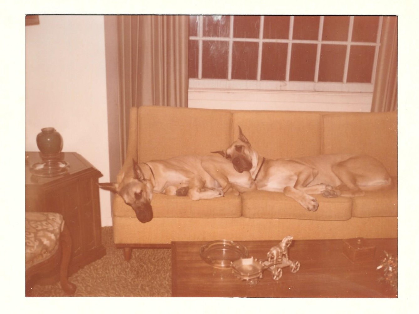 Titandane's Couch Danes